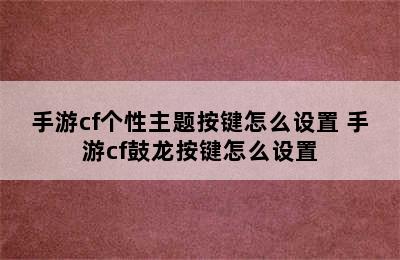 手游cf个性主题按键怎么设置 手游cf鼓龙按键怎么设置